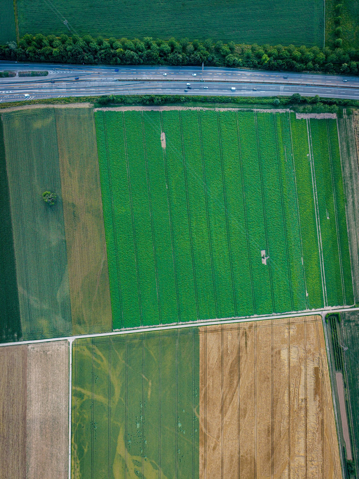 Aerial view of acreage farmland in Bradner, Abbotsford