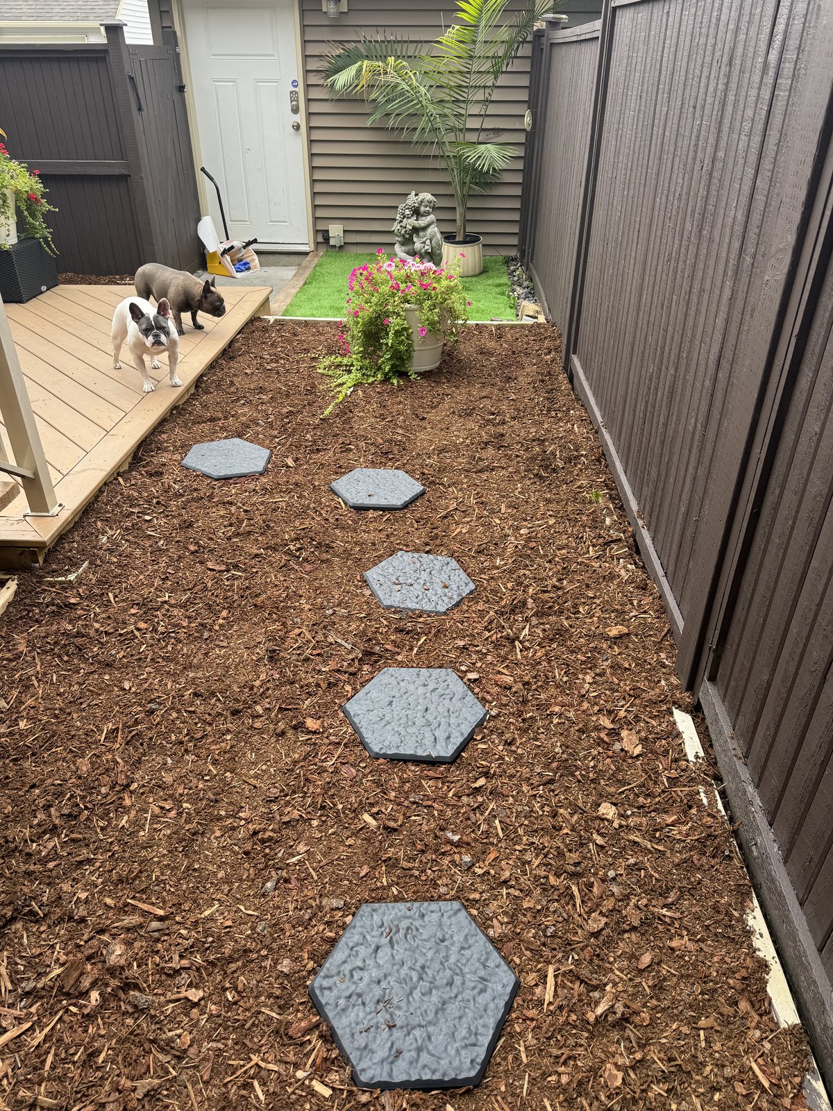 Two dogs on a clean deck beside a landscaped garden path