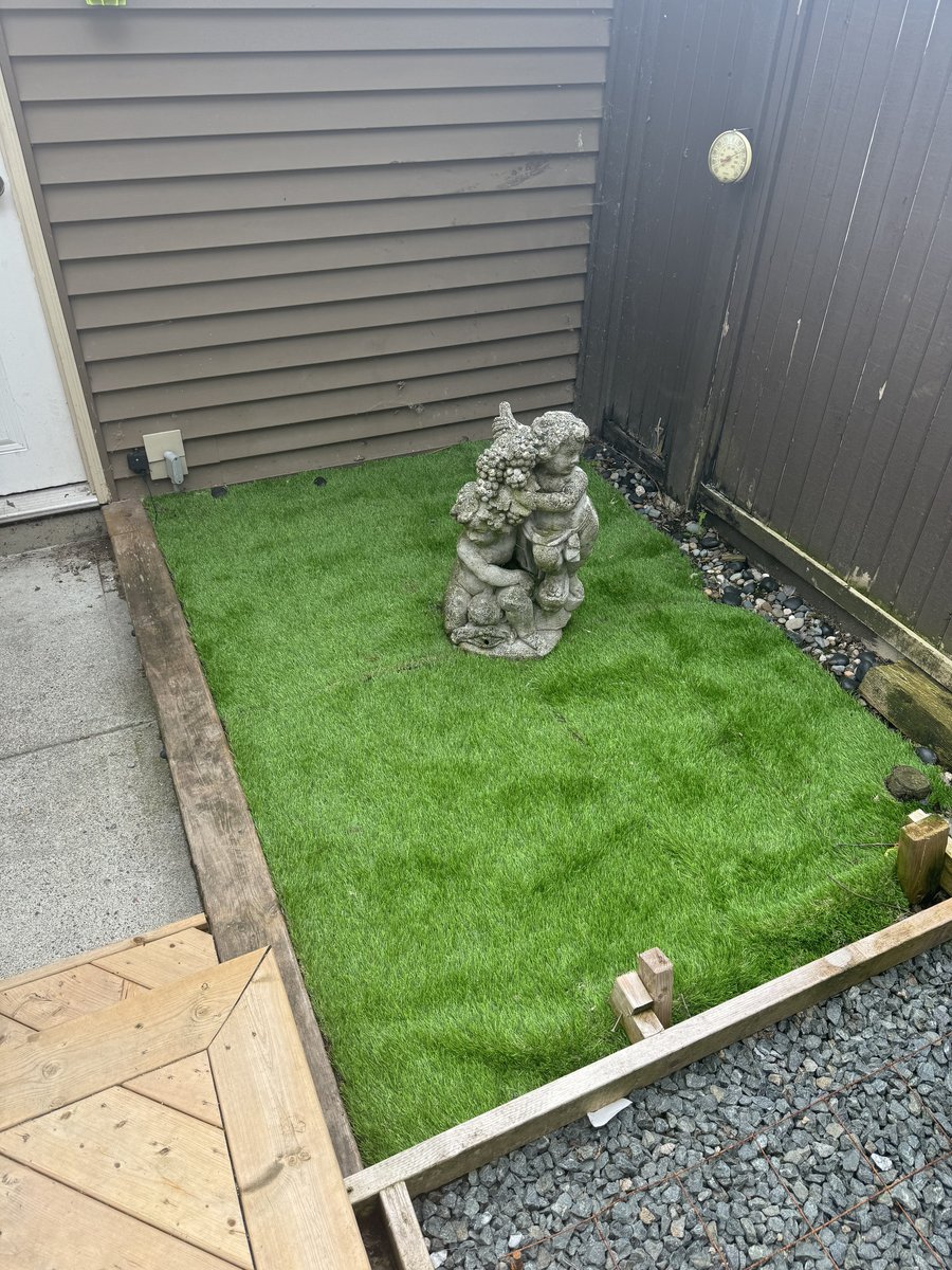 The same yard with all waste removed after a Woof Waste cleanup