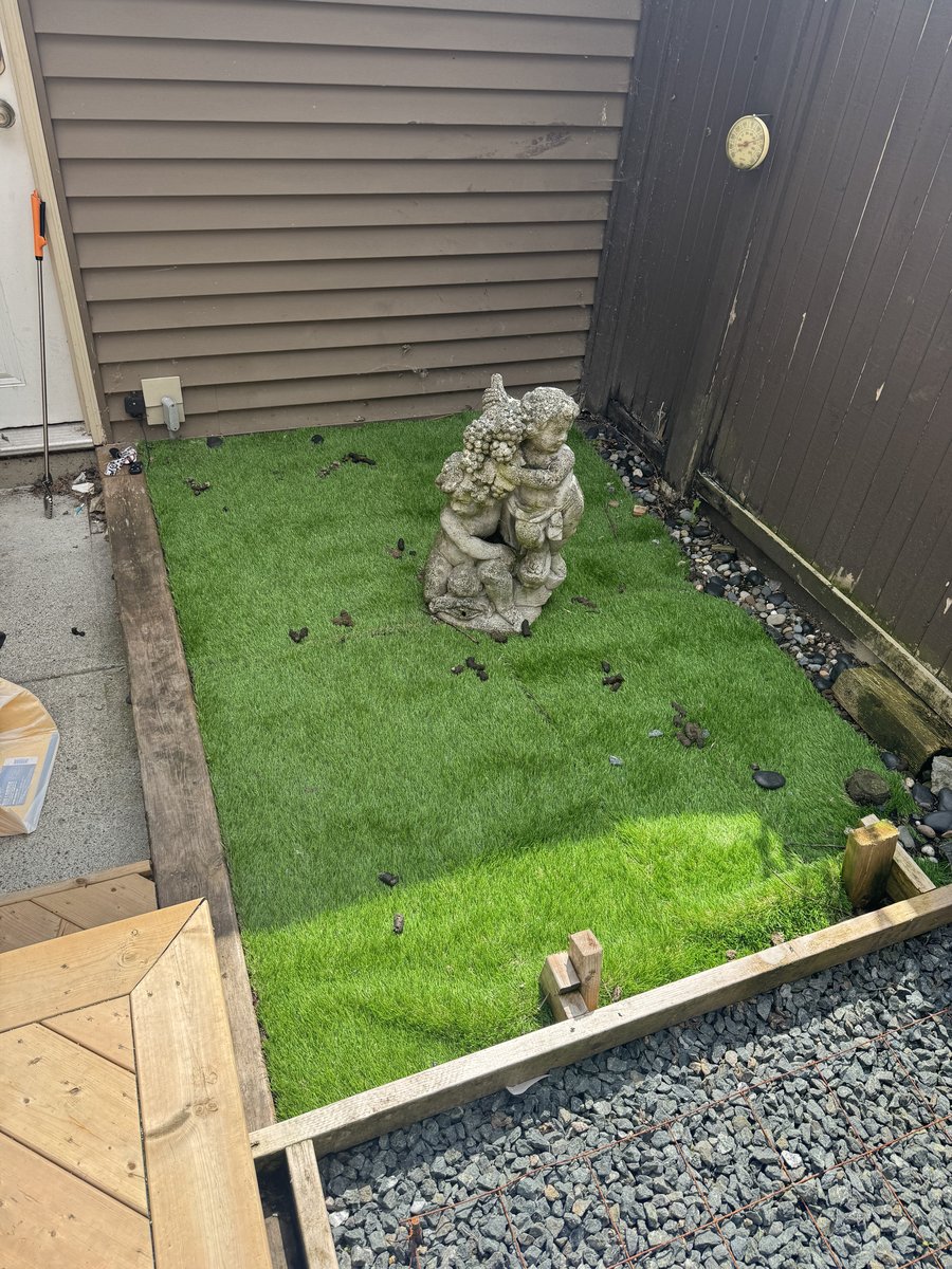 A yard covered in dog waste before a Woof Waste cleanup